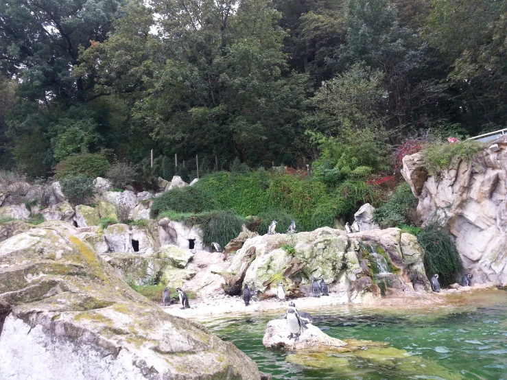 water is flowing under some rocks near some rocks