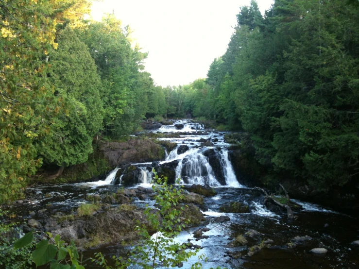 a river is surrounded by tall trees and rocks