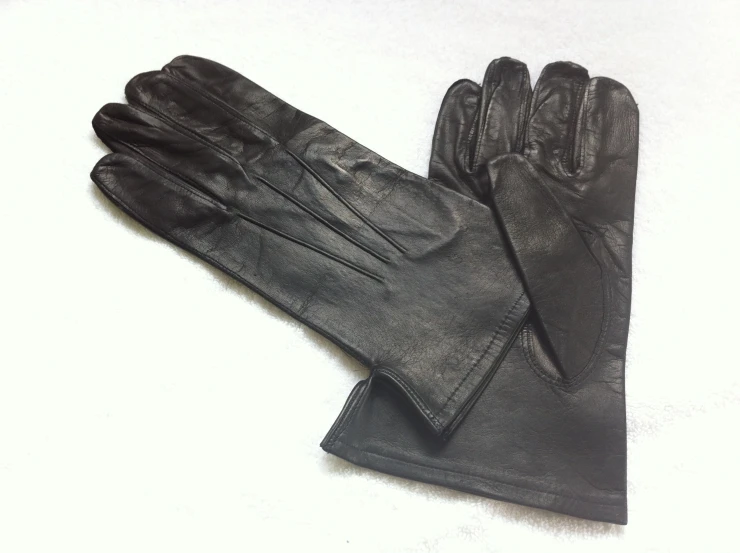 black gloves on white surface with white background