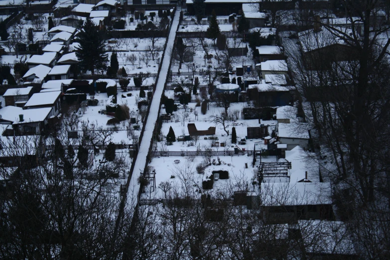 a snowy day shows the roofs of houses and trees