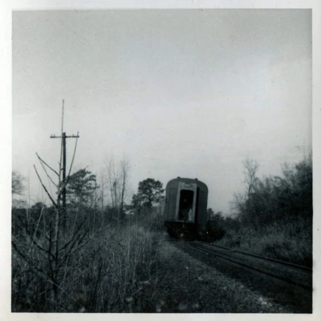 a vintage black and white po with train moving through the woods