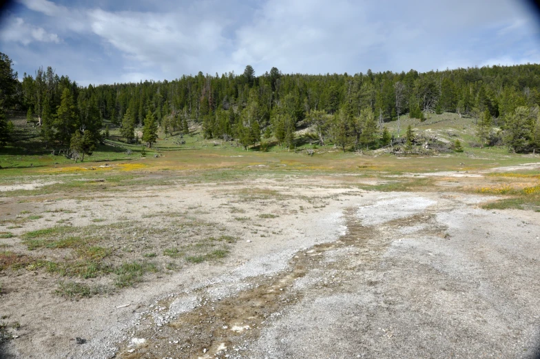 a view from a rear view mirror of an empty field with trees and grass