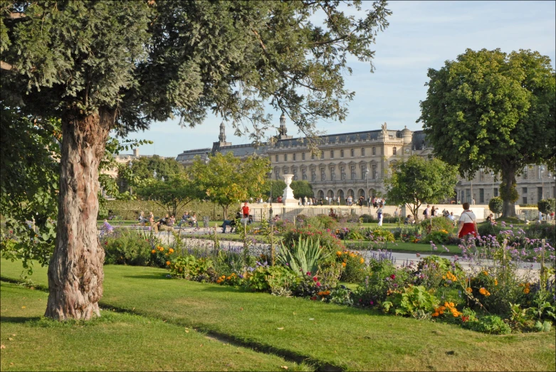 a lush green garden filled with lots of flowers