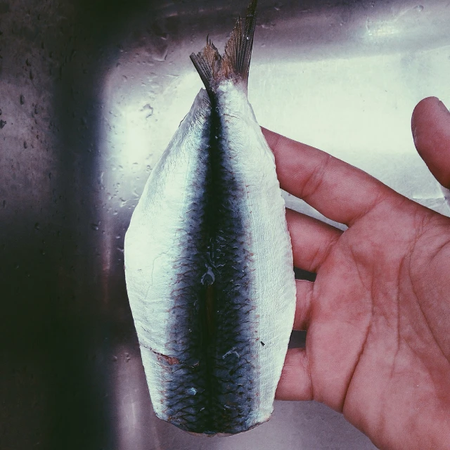 a small piece of frozen fish being held by someone's hand