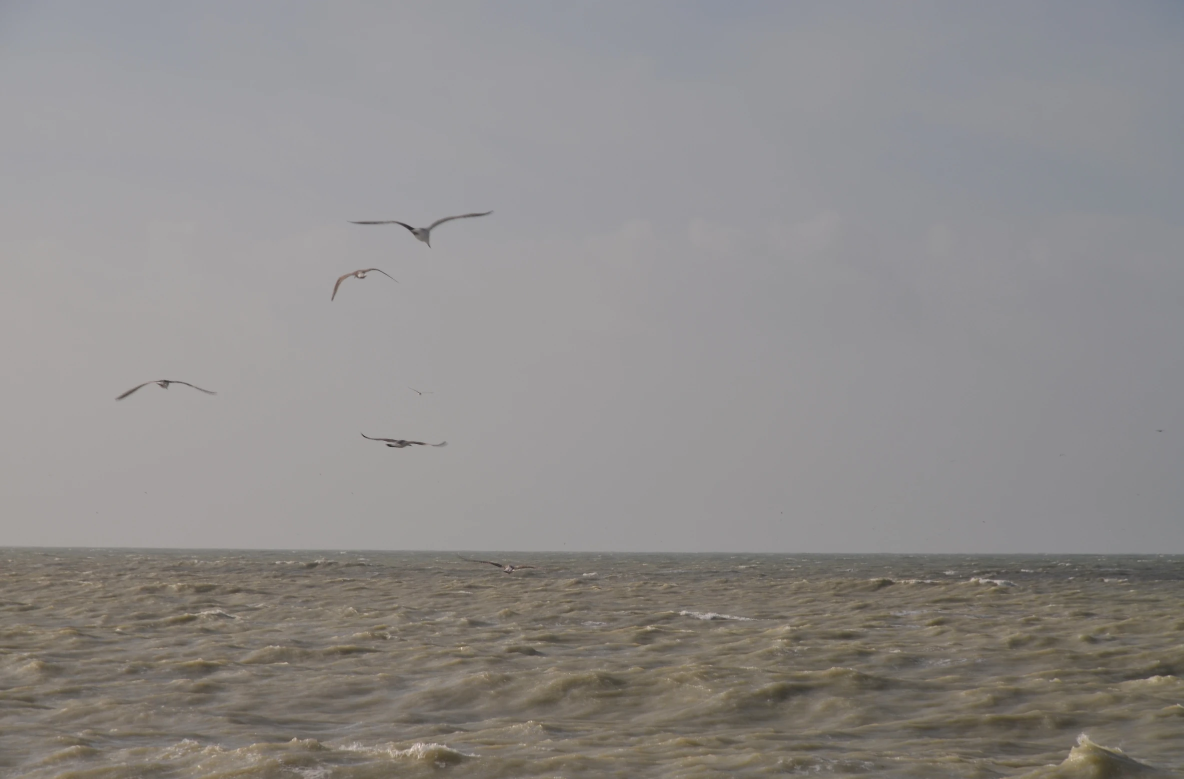 birds flying over the water on a cloudy day