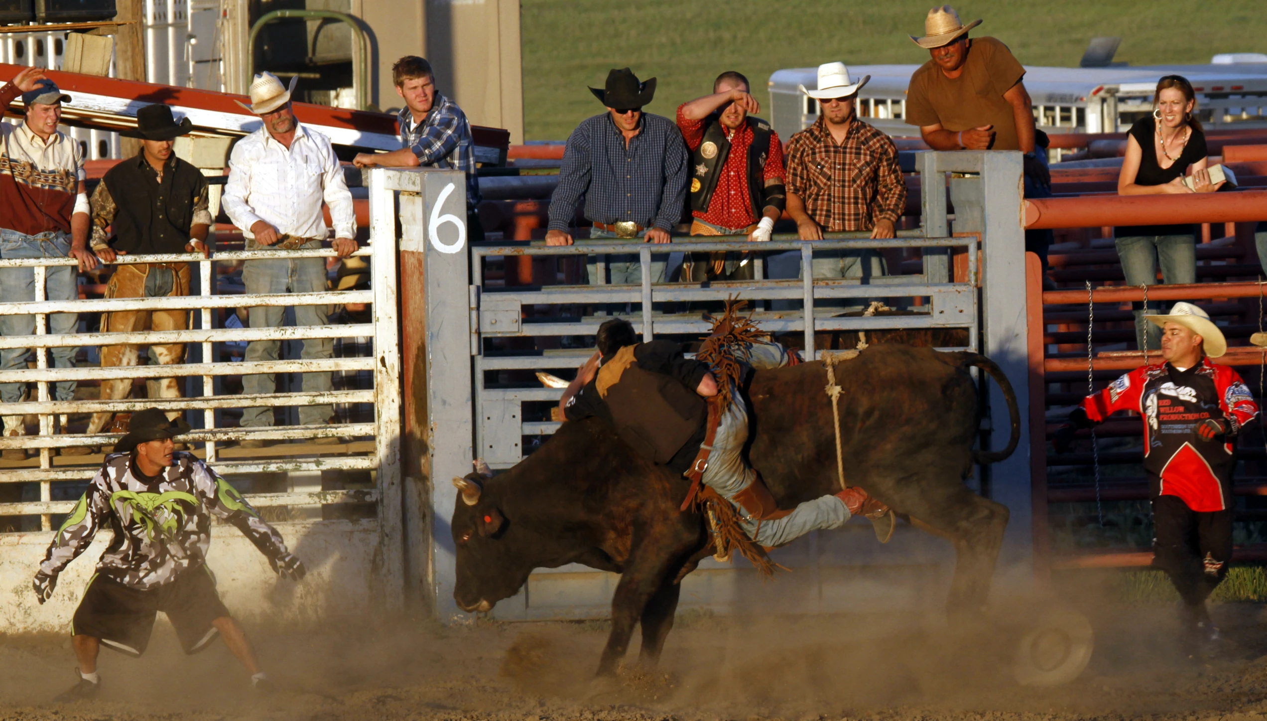 a cowboy being bucked down by his bull in a rodeo