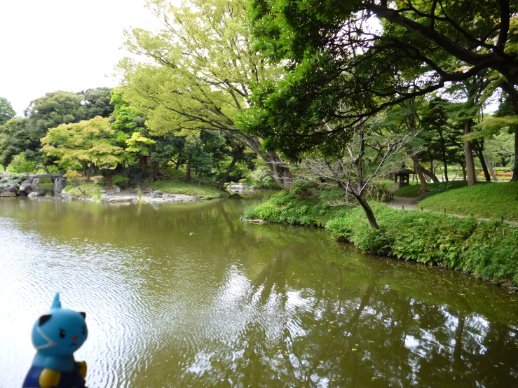 there is an empty river in the park