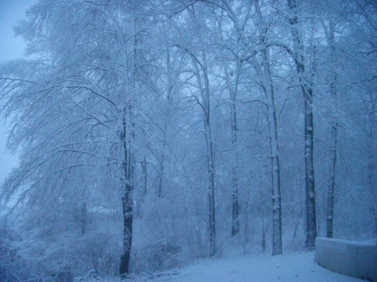 a snow covered park bench sitting in the middle of winter