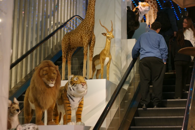 a man walking up stairs with various stuffed animals