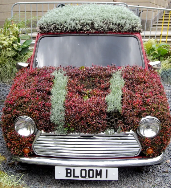 an old red car is covered in lots of green plants