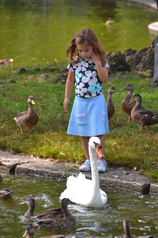 girl stands on the bank as a swan swims in the pond