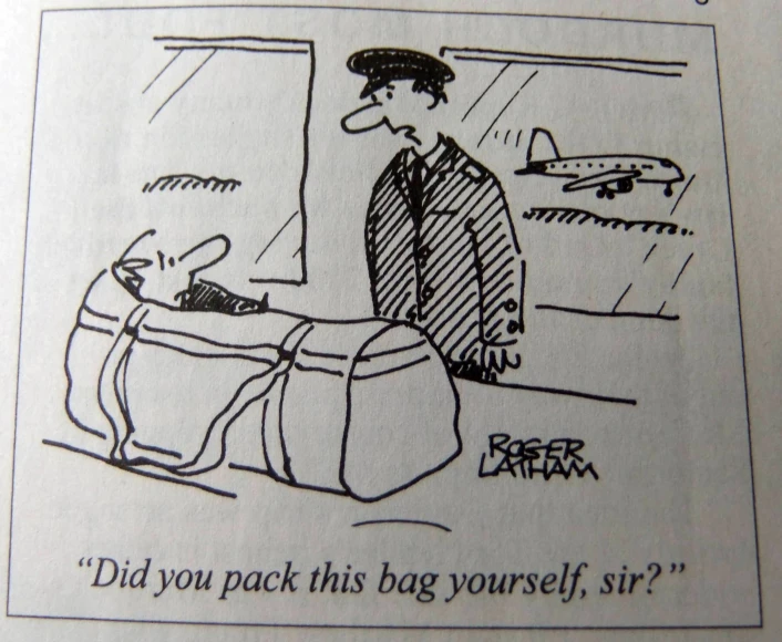 a cartoon with an airplane in it that says, did you pack this bag yourself?