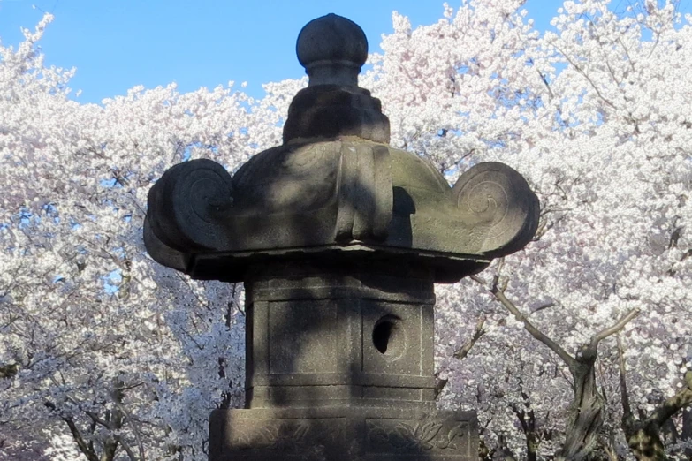 a monument is in front of a beautiful flowery tree