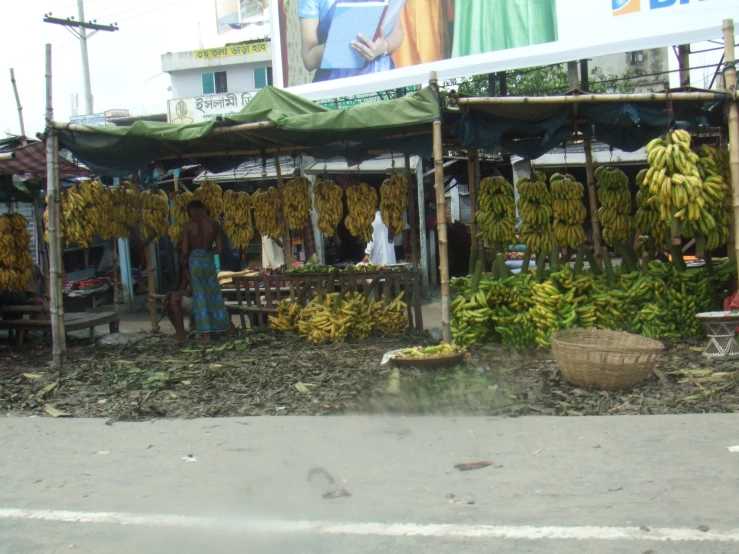 a bunch of bananas hanging from a stand