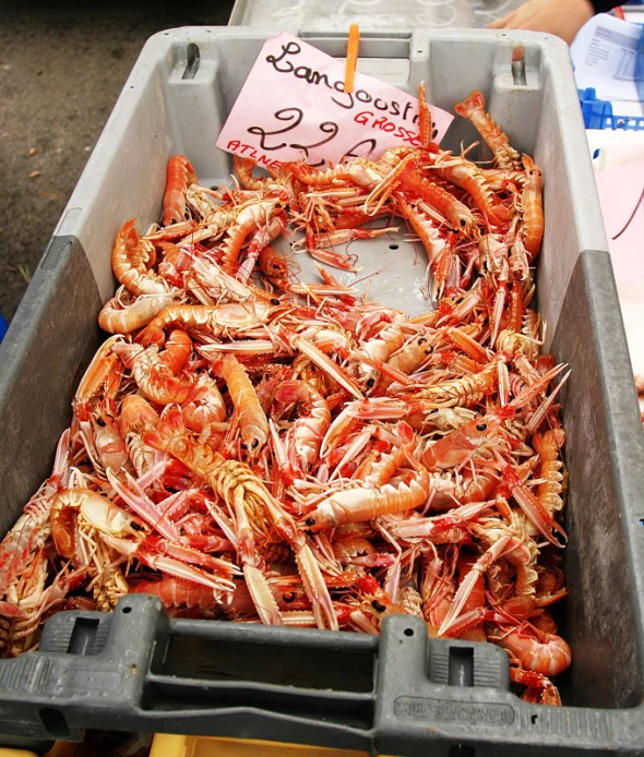 some large trays are filled with cooked crabs