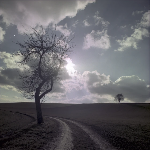 a dirt road winding through a grassy field under a cloudy sky