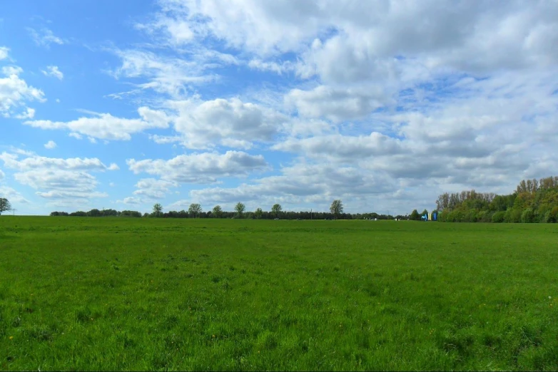 a large open grass field under a blue sky
