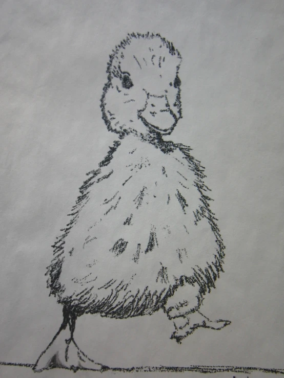 this drawing depicts a little duck looking like it's smiling