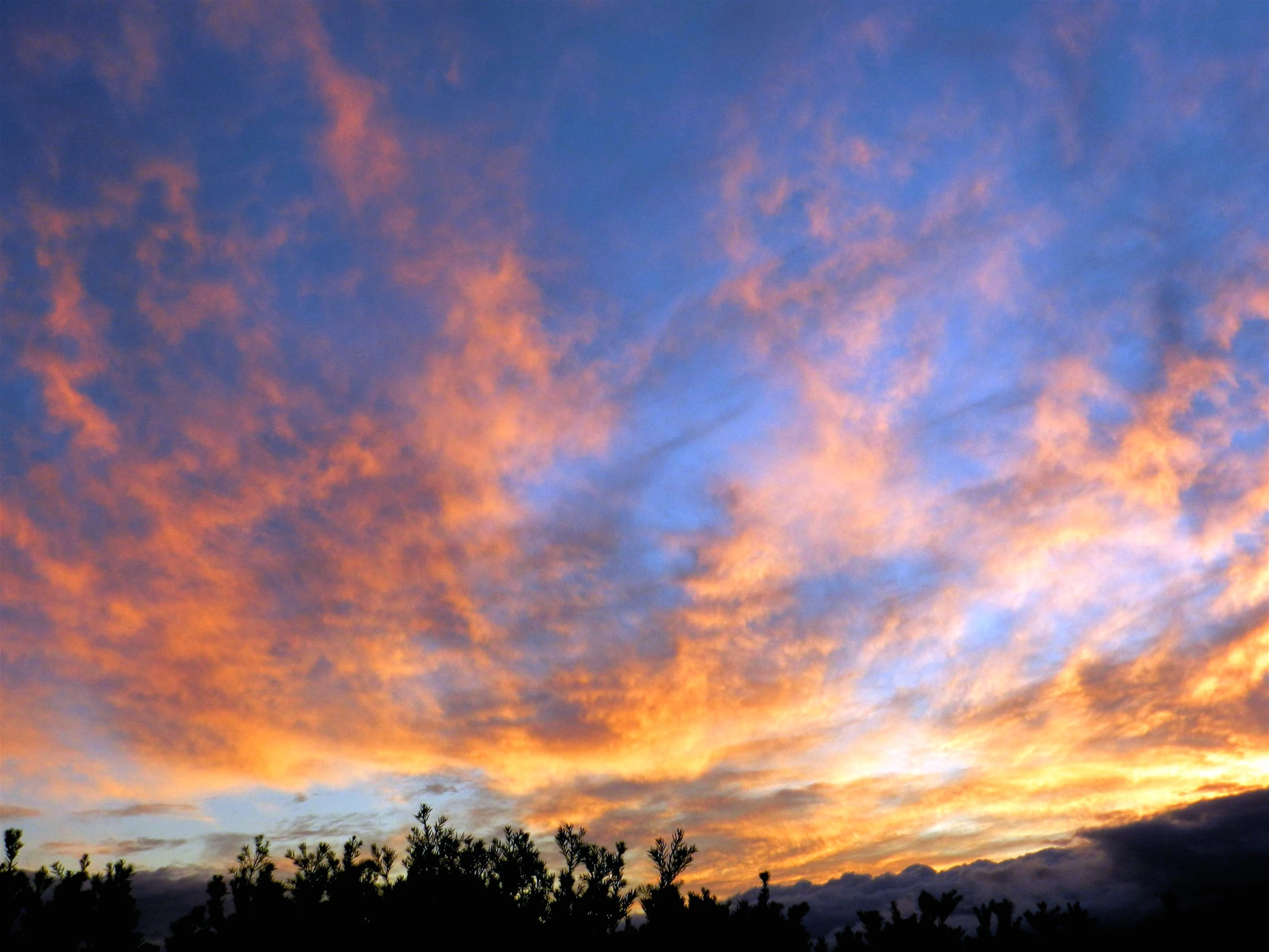 the sky is filled with purple clouds over trees