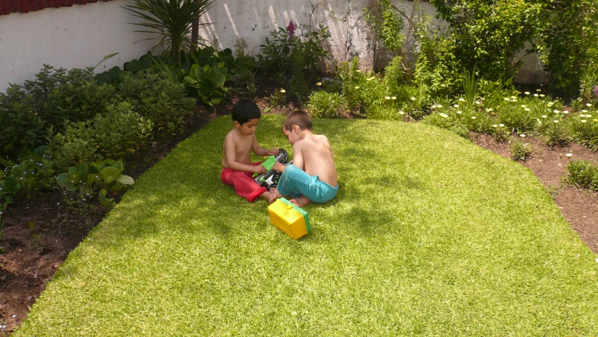 two boys are sitting on a lawn near plants