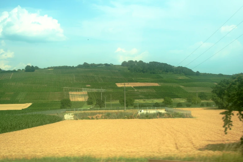 an image of a farm setting taken from inside the train window