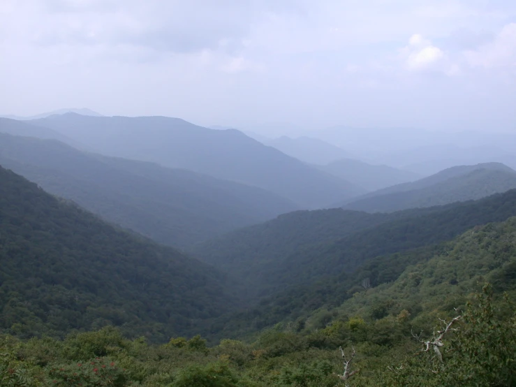 mountains in the distance with trees below them