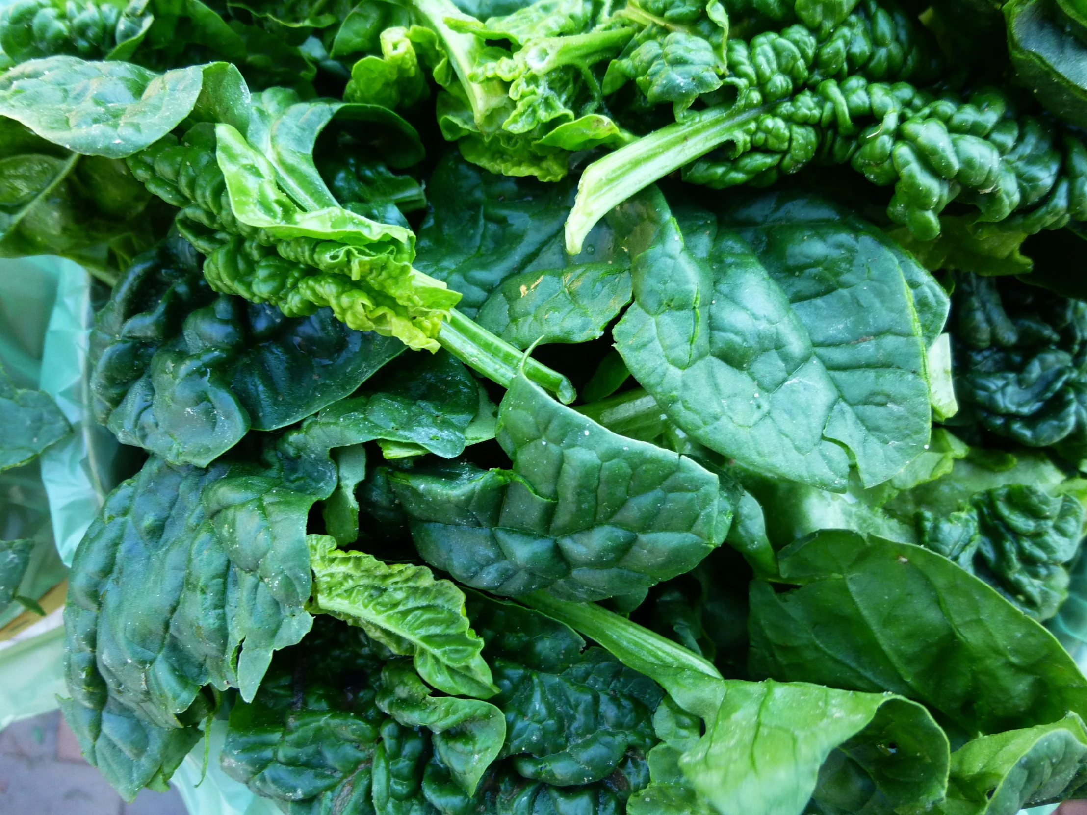 a pile of spinach, leafy and green leaves