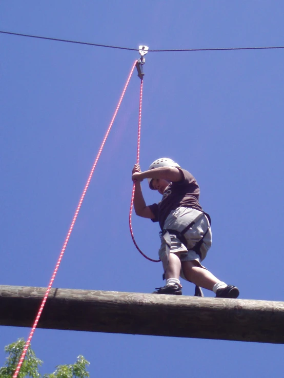 a  climbing down on the side of a wooden line