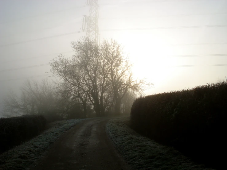 an image of a foggy road going through the fields