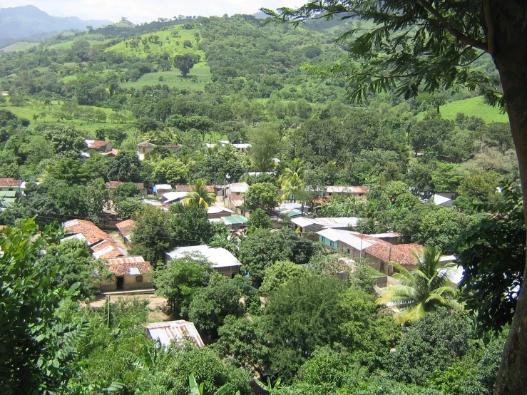 view of a residential area with mountains, grass and trees