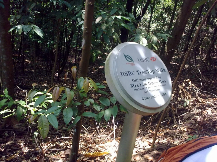 a sign at the base of some trees