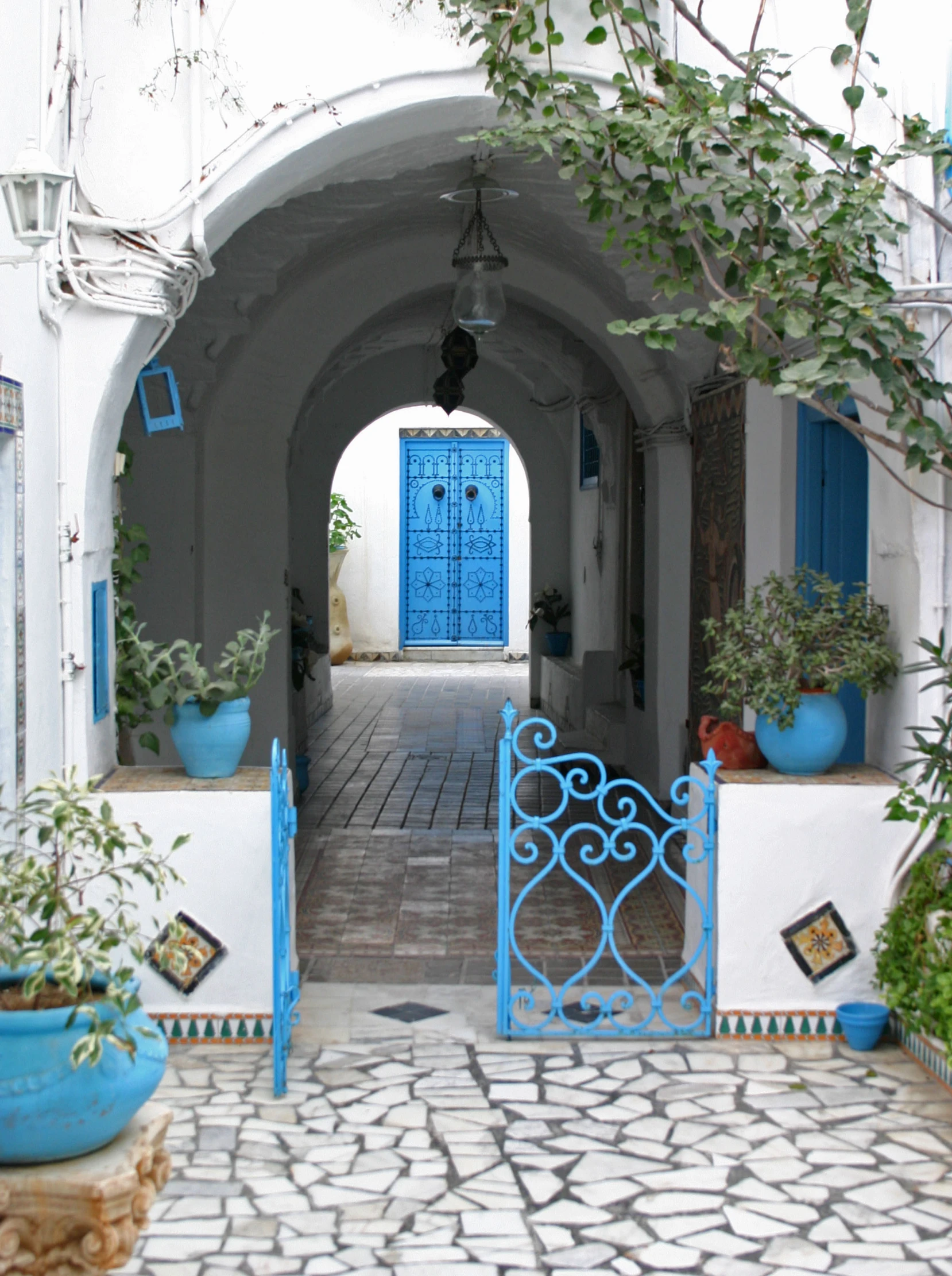 a narrow walkway with doors and plants