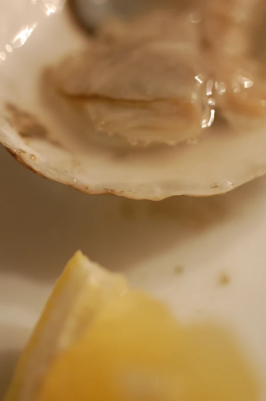 an oyster with a piece of lemon in the middle