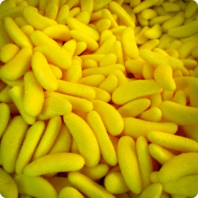many yellow sponges spread across the top of a plate