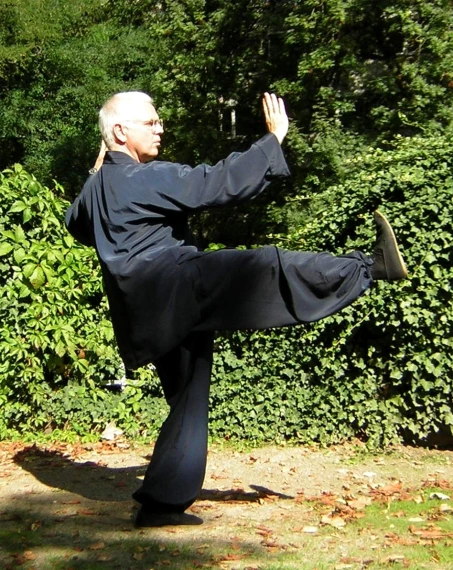 an old man doing karate with a tree in the background