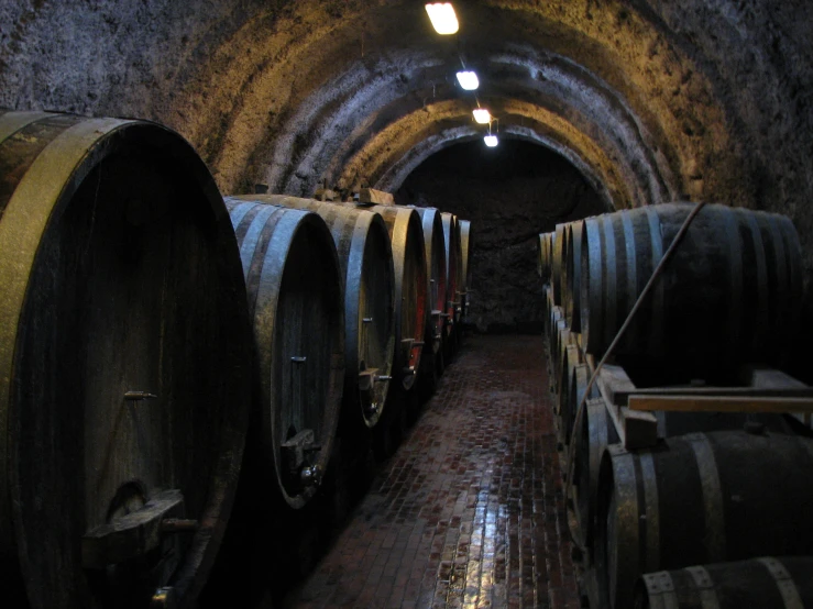 a brick path with lots of wine barrels