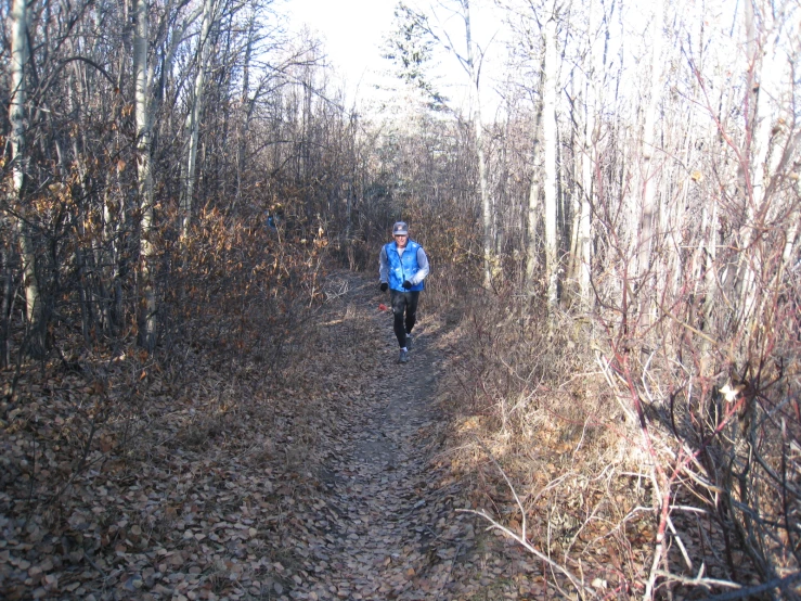 a person hiking along a trail in the woods