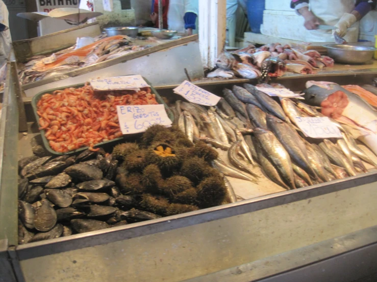 various seafood for sale at a market