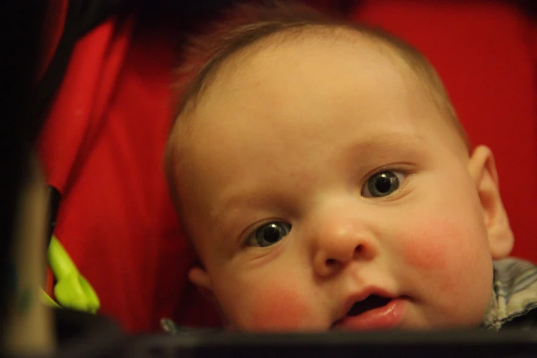 a young baby looks at the camera and holds his hand near his mouth