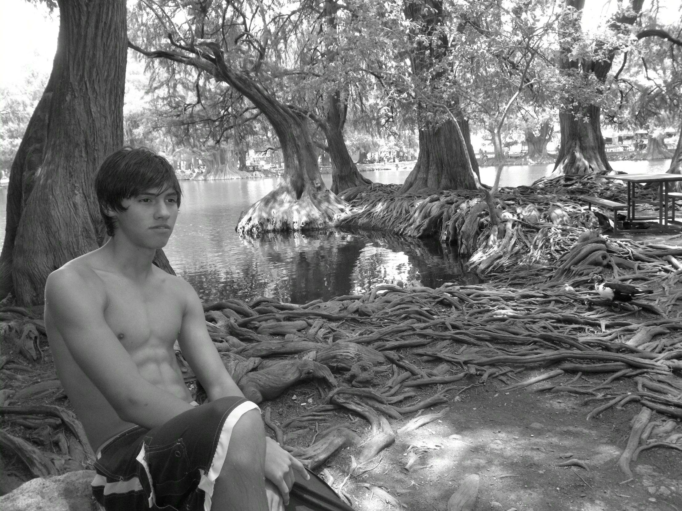 a young man sits on the edge of a small stream near a tree