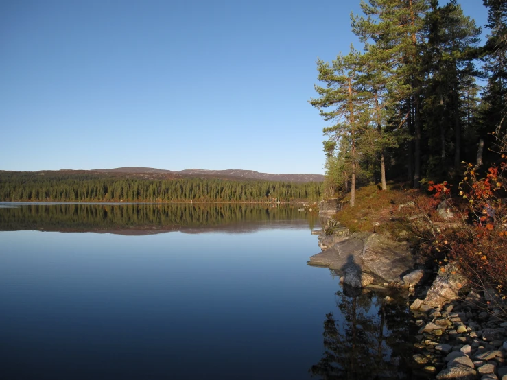 a lake is surrounded by green trees on the side