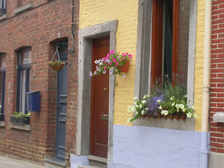 two buildings are lined with flowers, one with a cat