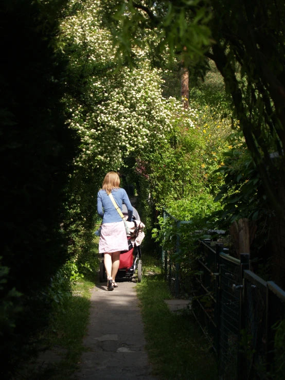 a woman rides a stroller down a path in the woods