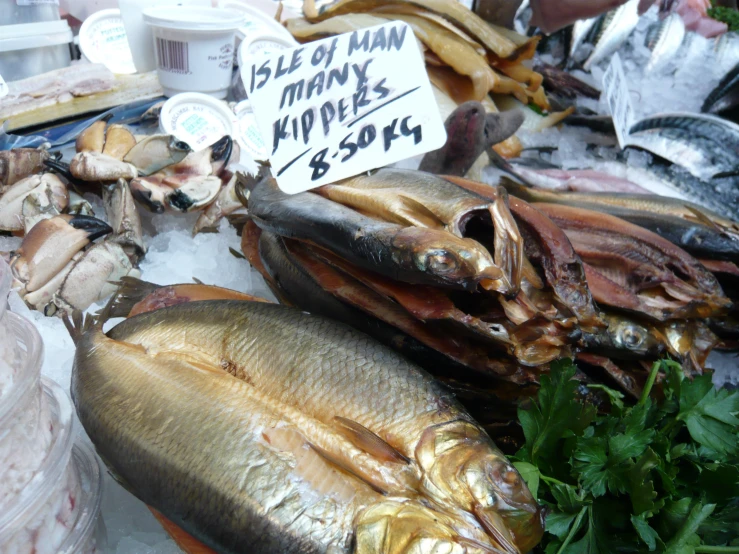 fish on display at a market with price signs