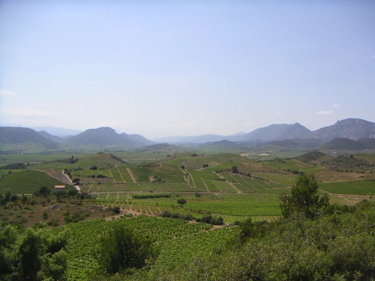 a landscape in the mountains is shown with green crops