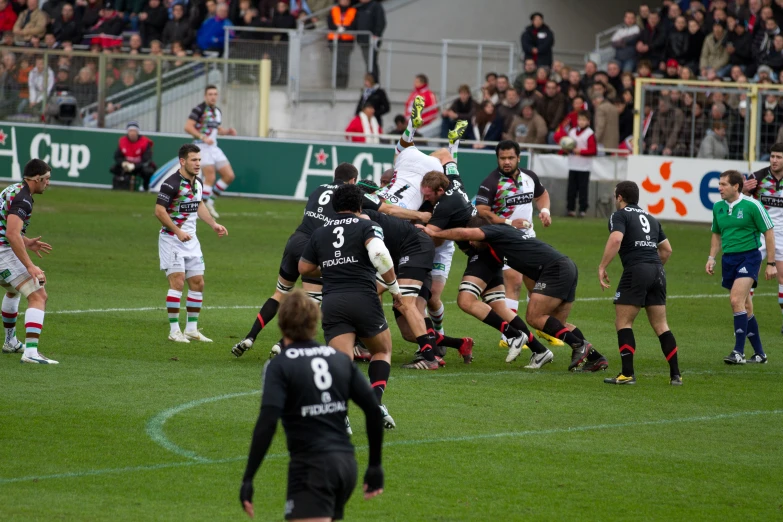 a group of men standing on top of a green soccer field