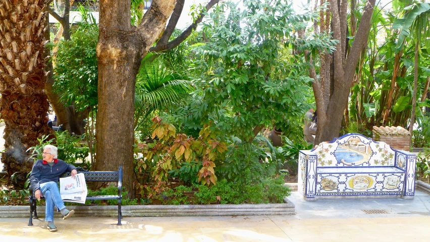a man sits on a bench surrounded by trees