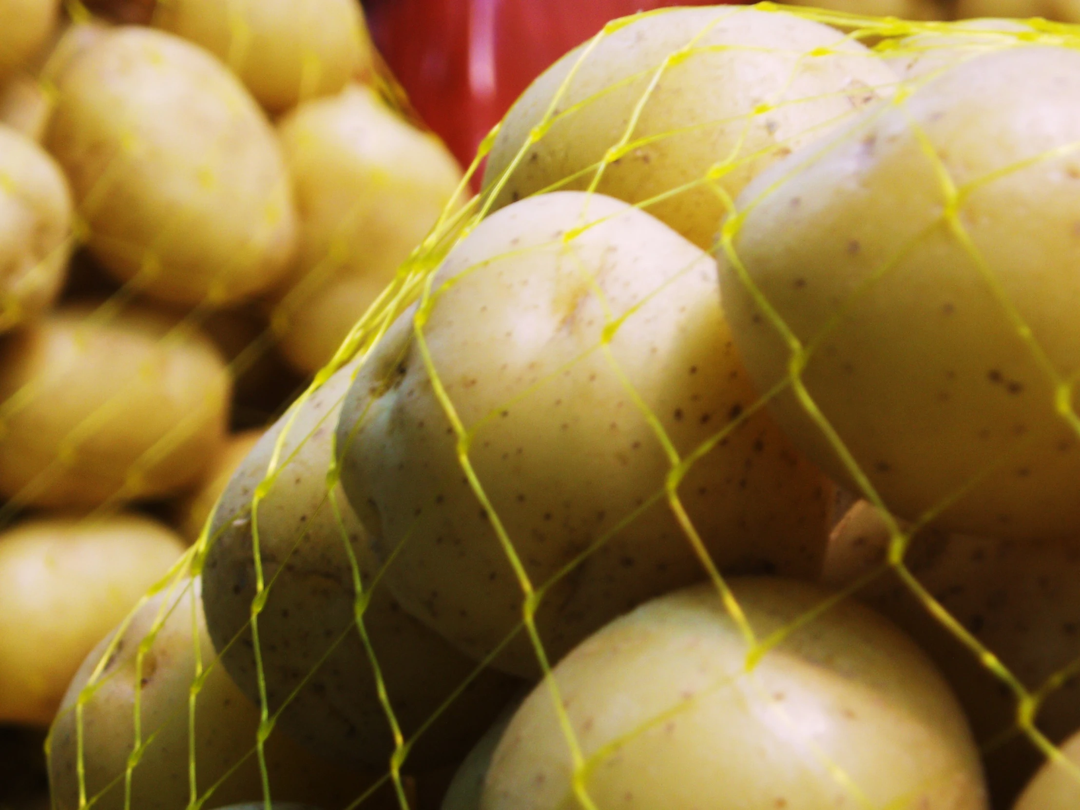 a pile of potatoes in a mesh bag