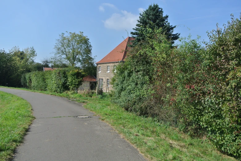 a road going through some bushes to a house