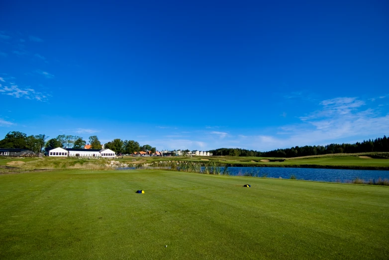 several people out for a game of golf